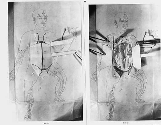 人体解剖図 第1頁